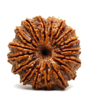 18 Mukhi Rudraksha