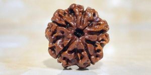 d882ff3d3a5a09d0df7add6111104f427c85534c